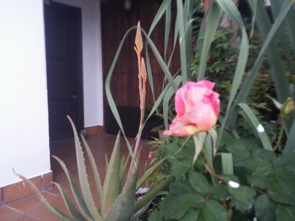 Balcon Del Velillos-"Rincon De Marcelo" Tozar Exteriör bild