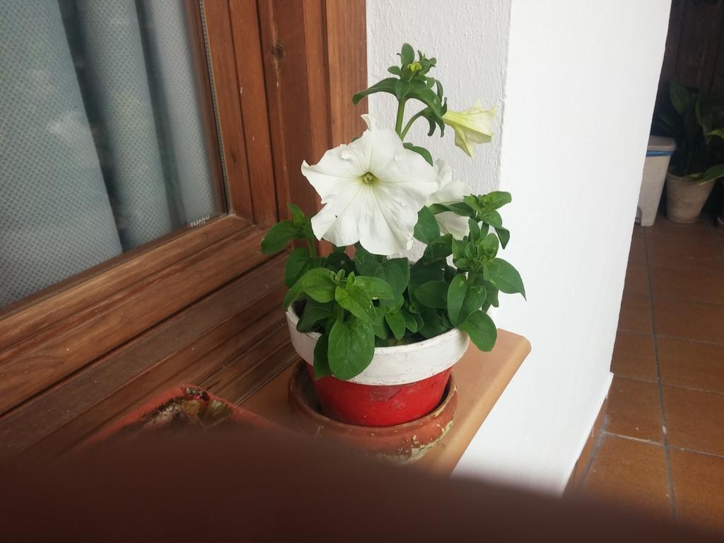 Balcon Del Velillos-"Rincon De Marcelo" Tozar Exteriör bild